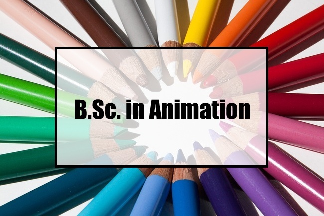 B.Sc. animation & multimedia